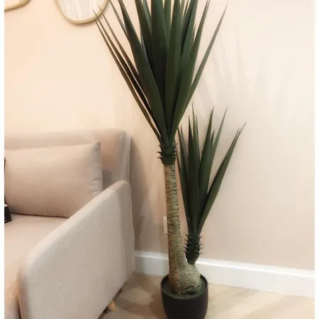 Pause Nature Sauge 앙느블린